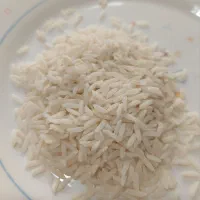 ۱۰۰ کیلو برنج هاشمی سورتینگ شده