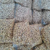 پسته امسالی مه ولات