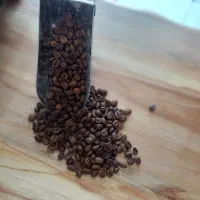 باریستا همراه با آموزش