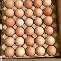 تخم مرغ روستایی 19 تومان