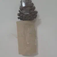 جا عودی