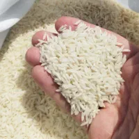 برنج نیم دانه و سالم هاشمی امساله|خوردنی و آشامیدنی|رشت, سعدی (تختی)|دیوار