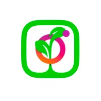 استخدام فوری - فضای مجازی-اینستاگرام