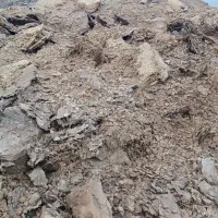 کود حیوانی مخلوط