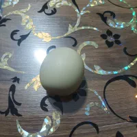 سنگ الماس آسیاب اصل