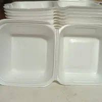 تعداد محدود ظروف یکبار مصرف نونو