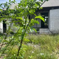 خونه کلنگی ۱۸۰ متری/فروش فوری/قیمت کل..|فروش خانه و ویلا|نور, |دیوار