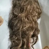 کلاه گیس نو