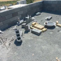 کبوتر