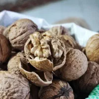 گردو تازه امسال البرز