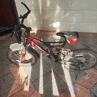 دوچرخه پلیس