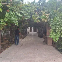 باغچه بسیار زیبا با برق کنتور