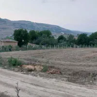 فروش زمین ۳۵۰ متری قلعه قافه بالا|فروش زمین و ملک کلنگی|مینودشت, |دیوار