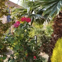 باغ عالی|فروش خانه و ویلا|اصفهان, براآن شمالی|دیوار