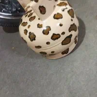 پیک نیک