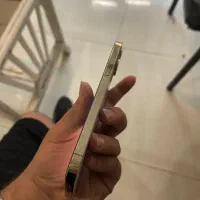 12 pro max کم‌کار|موبایل|مشهد, شهید فرامرز عباسی|دیوار