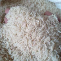 برنج هاشمی درجه یک عطری سورتینگ‌شده و خوش پخت