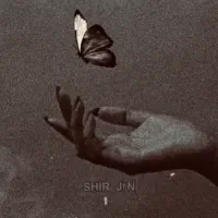 دستبند گم شده