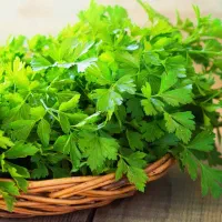 مصارف آشپزی|خوردنی و آشامیدنی|قم, حاج خلیل|دیوار