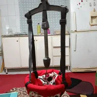 تاب کودک کاملا سالم