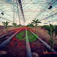 انواع پلاستیک گل خانه