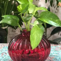 گلدان شیشه ای رنگی|صنایع دستی و سایر لوازم تزئینی|خرمشهر, |دیوار