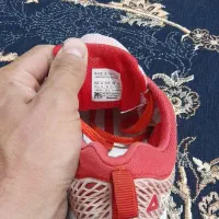 کفش زنانه اصلی ویتنام|حراج|مشهد, شهرک مهر آباد|دیوار