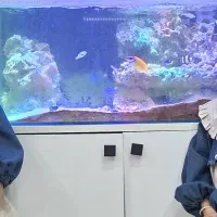 آکواریوم آب شور