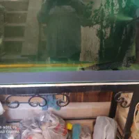 آکواریوم باپایه وماهی زیرقیمت بازار