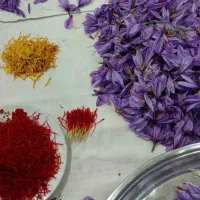 زعفران صادراتی و ممتاز مستقیم از کشاورز|خوردنی و آشامیدنی|اصفهان, مرداویج|دیوار