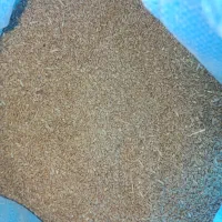 گندم کوهدشت