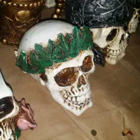 کله اسکلت جنس پلیستر نو نو دونه ای ۵۰۰ هزار تومان|مجسمه، تندیس، ماکت|سنندج, |دیوار