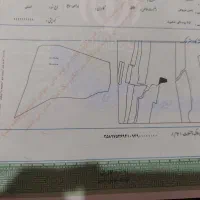 فروش-زمین-کشاورزی-یا-باغ