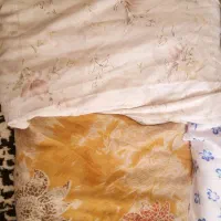 چادر|لباس|اهواز, کوی رمضان|دیوار