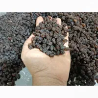 کشمش آفتابی|خوردنی و آشامیدنی|بناب, |دیوار