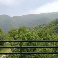 ویلا دوخوابه جنگلی جواهرده