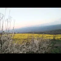 زمین با منظره ابدی