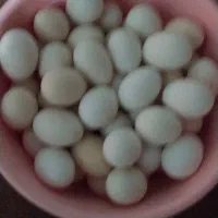 تخم مرغ ،مرغ ریشی نطفه دار محلی اصل