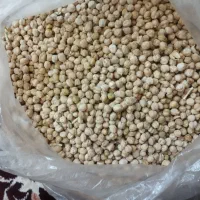 نخود|خوردنی و آشامیدنی|نیشابور, شهید بهشتی|دیوار