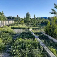 زمین سرسبز،چهاردیواری،چهارباغ کمربندی رامجین.|فروش زمین و ملک کلنگی|تهران, درختی|دیوار