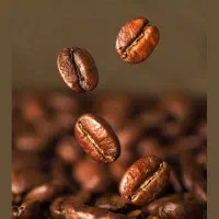 رستری و پخش قهوه موما