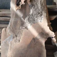 طرح اسب روستیک با چوب گردو مناسب برای دیزاین|مجسمه، تندیس، ماکت|مشهد, الهیه|دیوار