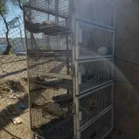 قفس بزرگ مناسب پرنده(کبوتر)