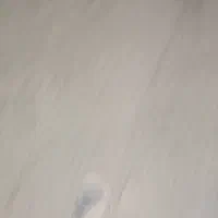 واگذاری سگ شیتزو