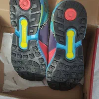 zxاتموس طوطی اکبند|کیف، کفش، کمربند|اسلامشهر, شهرک مفیدی|دیوار