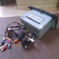 یک جفت طوطی برزیلی|پرنده|چهارباغ, |دیوار