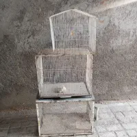 3 عدد قفس پرنده