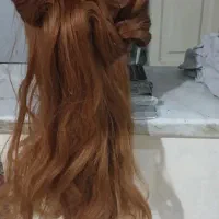 کله مانکن مخصوص شینیون