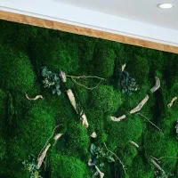 ارزان‌تر از همه جا کناف و سقف کاذب|خدمات پیشه و مهارت|یاسوج, |دیوار