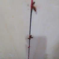 حذف تضمینی سوسک و مورچه بدون سمپاشی با مواد گیاهی